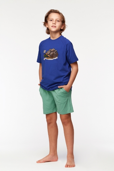 Resim 10-16 Yaş Erkek Çocuk Pijama-Qts - 856-Soğuk Mavi