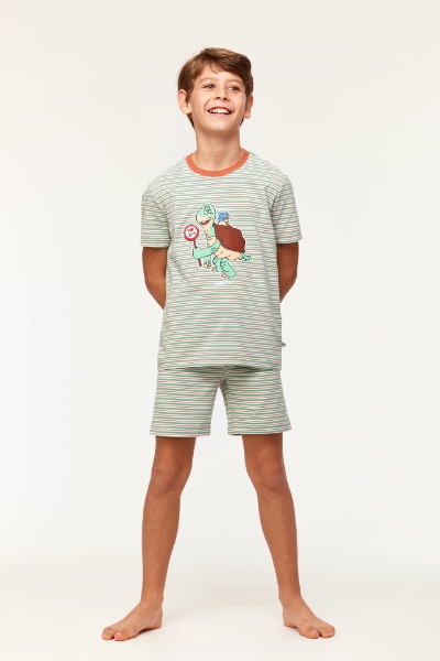 Resim 2-8 Yaş Erkek Çocuk Pijama-Pza - 914-Kaplumbağa Temalı Çizgili Turuncu