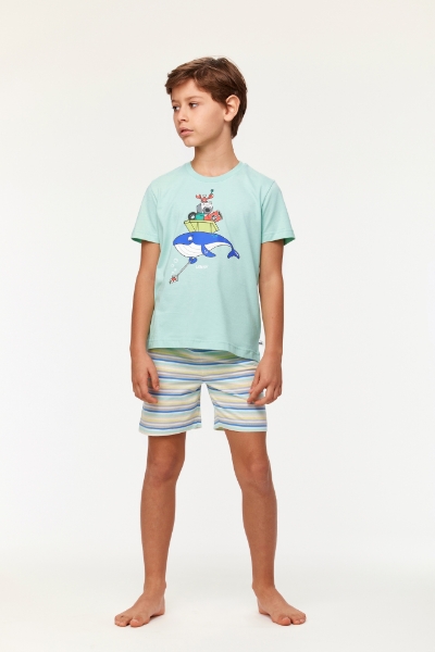 Resim 10-16 Yaş Erkek Çocuk Pijama-Pss - 702-Su Yeşili