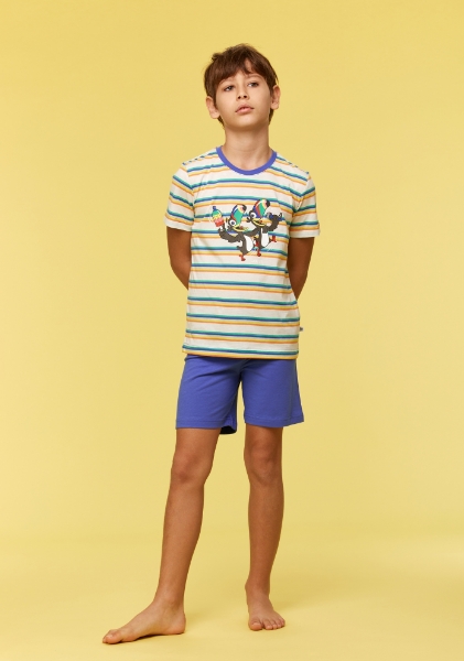 Resim 10-16 Yaş Erkek Çocuk Pijama-Pss - 908-Tukan Temalı Çizgili Mavi