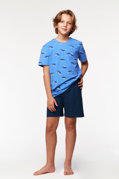 Resim 2-8 Yaş Erkek Çocuk Pijama-Qpa - 928-Balina Temalı Baskılı Mavi