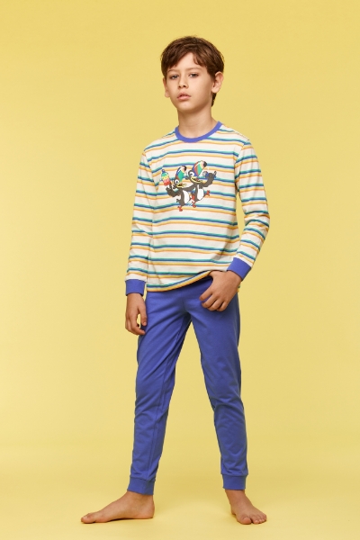 Resim 2-8 Yaş Erkek Çocuk Pijama-Plc - 908-Tukan Temalı Çizgili Mavi