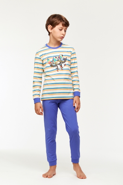 Resim 10-16 Yaş Erkek Çocuk Pijama-Plc - 908-Tukan Temalı Çizgili Mavi