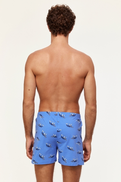 Resim Erkek Boxer-Qlb - 928-Balina Temalı Baskılı Mavi