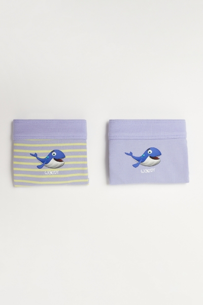 Resim 10-16 Yaş 2’li Kız Çocuk Külot-She - 039-SET