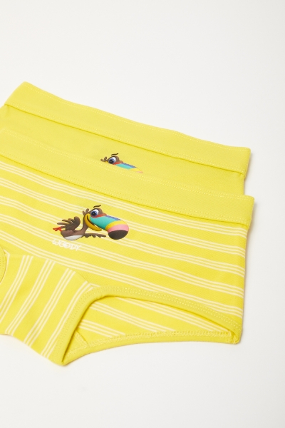 Resim 2-8 Yaş 2’li Kız Çocuk Külot-She - 056-SET