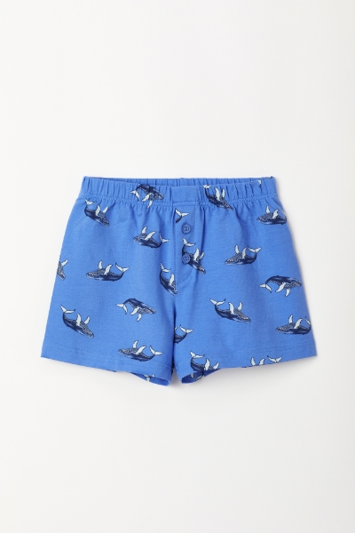 Resim 10-16 Yaş Erkek Çocuk Boxer-Qlb - 928-Balina Temalı Baskılı Mavi