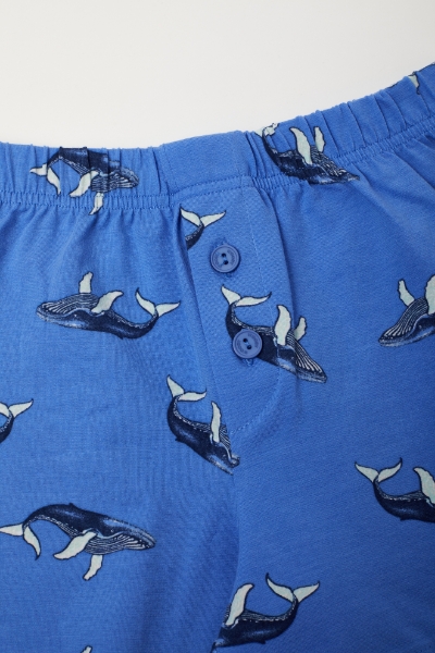 Resim 10-16 Yaş Erkek Çocuk Boxer-Qlb - 928-Balina Temalı Baskılı Mavi