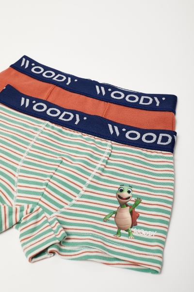 Resim 2-8 Yaş 2’li Erkek Çocuk Boxer-Cle - 018-SET