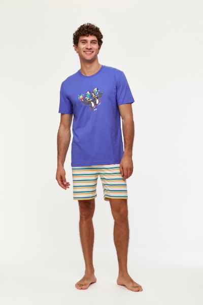 Resim Erkek Pijama-Pss - 829-Mor Mavi