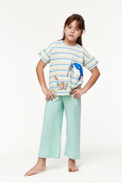 Resim 10-16 Yaş Kız Çocuk Pijama-Bsk - 904-Balina Temalı Çizgili Mavi