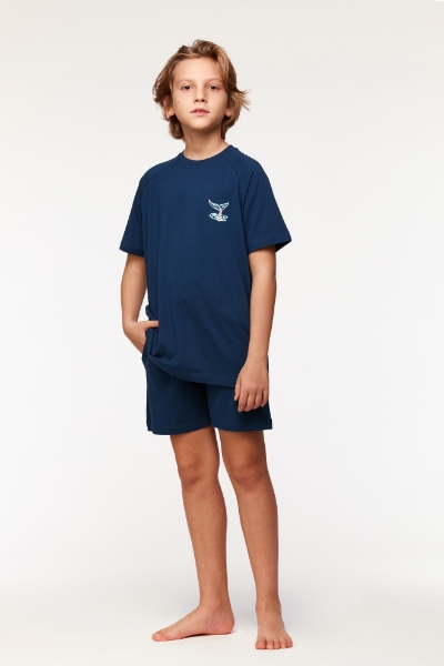 Resim 2-8 Yaş Erkek Çocuk Pijama-Qts - 888-Lacivert