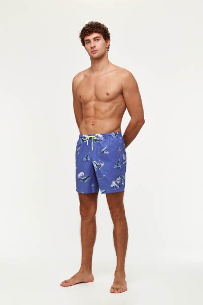 Resim Erkek Deniz Şortu-Qww - 931-Dodo Temalı Çizgili 