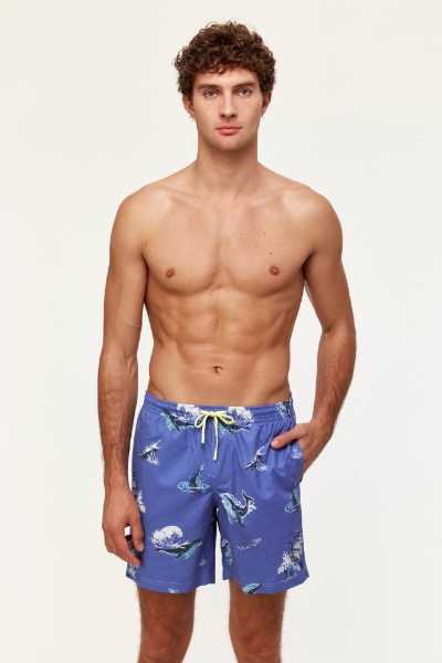 Resim Erkek Deniz Şortu-Qww - 931-Dodo Temalı Çizgili 