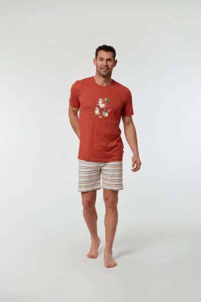 Resim Erkek Pijama-Pss - 462-Gine Domuzu Temalı Kiremit
