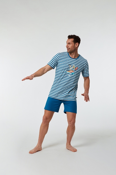 Resim Erkek Pijama-Pss - 983-Deniz Kuşu Temalı Çizgili