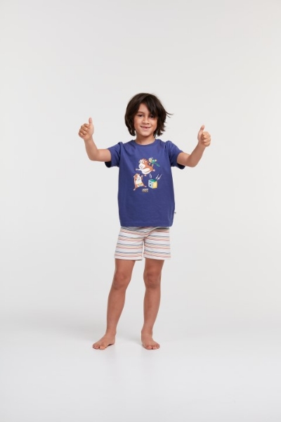 Resim 2-8 Yaş Erkek Çocuk Pijama-Pss - 896-Gine Domuzu Temalı Kobalt Mavi