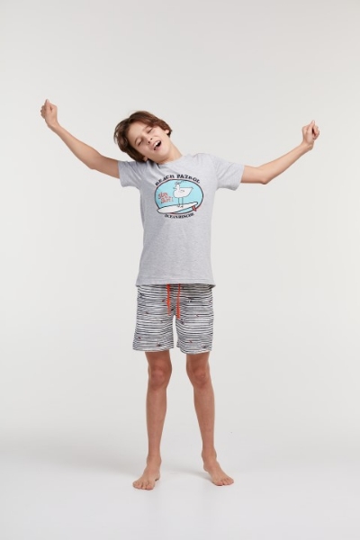 Resim 10-16 Yaş Erkek Çocuk Pijama-Qrs - 142-Deniz Kuşu Temalı Gri Melanj